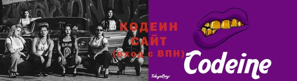 прущий лед Алзамай
