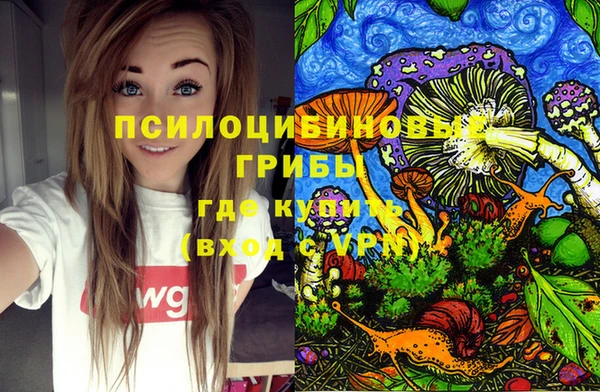 прущий лед Алзамай